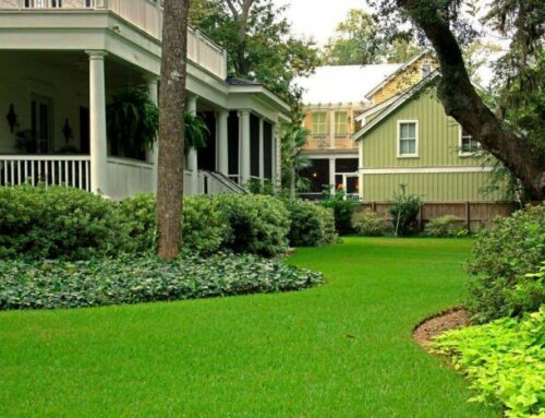 DIY Sod Installation: Is It Worth the Effort or Should You Hire a Pro?