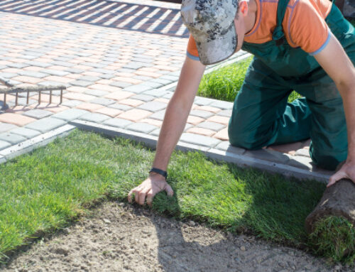 Lawn Love: Sodbusters’ Tips for Sodding Success on Your Own